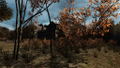 Pineview Drive thumbnail 3