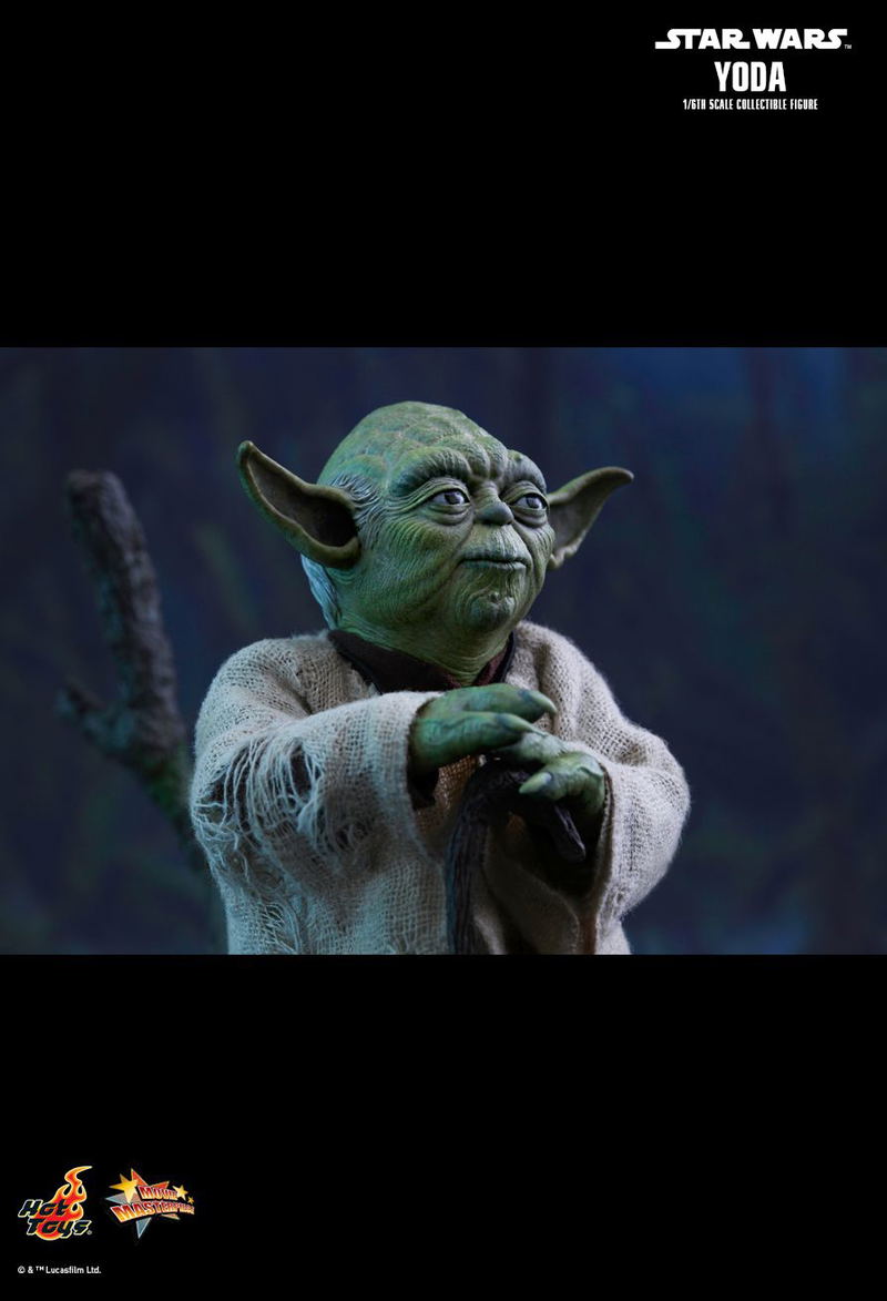 Star Wars Episode V The Empire Strikes Back 1/6 Scale Collectible Figure: Yoda image 14