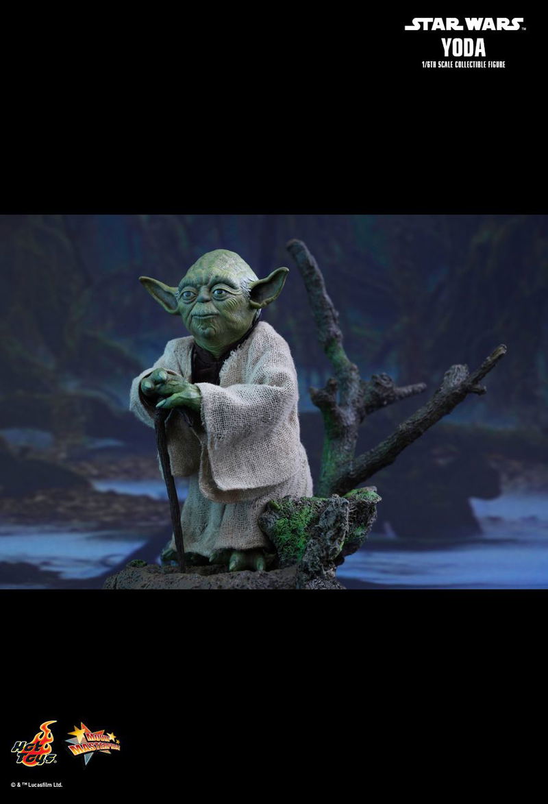 Star Wars Episode V The Empire Strikes Back 1/6 Scale Collectible Figure: Yoda image 9