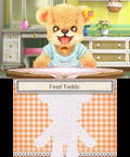 Teddy Together thumbnail 5