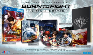 The King of Fighters XIV [Burn to Fight Premium Edition]_