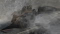 Resident Evil 4 thumbnail 11