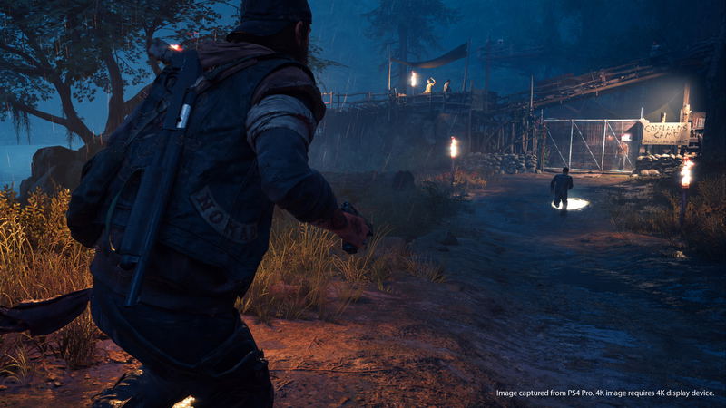Days Gone image 10