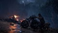 Days Gone thumbnail 12