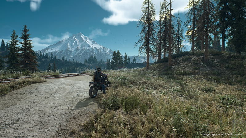 Days Gone image 20