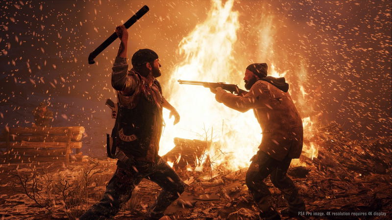Days Gone image 15