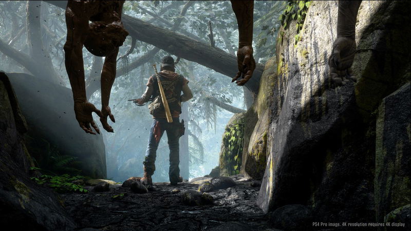 Days Gone image 17