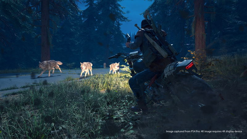 Days Gone image 3