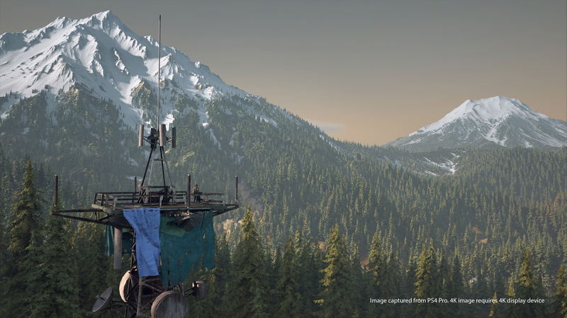 Days Gone image 4