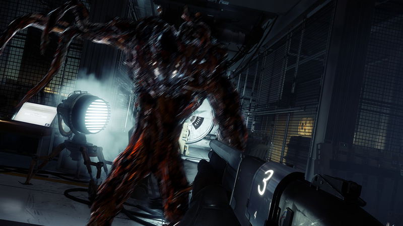 Prey image 12