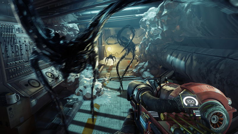 Prey image 10