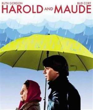 HAROLD & MAUDE_