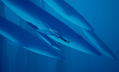 ABZU thumbnail 11