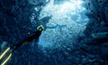 ABZU thumbnail 13