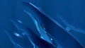 ABZU thumbnail 5
