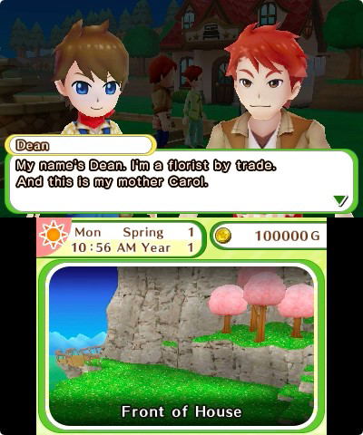 Harvest Moon: Skytree Village image 2