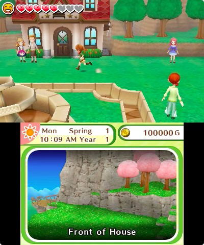 Harvest Moon: Skytree Village image 3