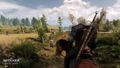 The Witcher 3: Wild Hunt [Game of the Year Edition] thumbnail 5