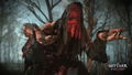 The Witcher 3: Wild Hunt [Game of the Year Edition] thumbnail 6