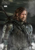 Game of Thrones 1/6 Scale Pre-Painted Figure: Sandor Clegane The Hound thumbnail 23