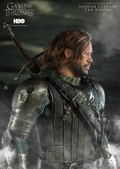 Game of Thrones 1/6 Scale Pre-Painted Figure: Sandor Clegane The Hound thumbnail 24