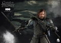 Game of Thrones 1/6 Scale Pre-Painted Figure: Sandor Clegane The Hound thumbnail 27
