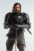 Game of Thrones 1/6 Scale Pre-Painted Figure: Sandor Clegane The Hound thumbnail 9