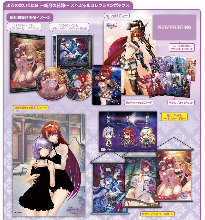 Yoru no Nai Kuni 2 Shingetsu no Hanayome [Special Collection Box GS Saikyou Combo Set] image 2