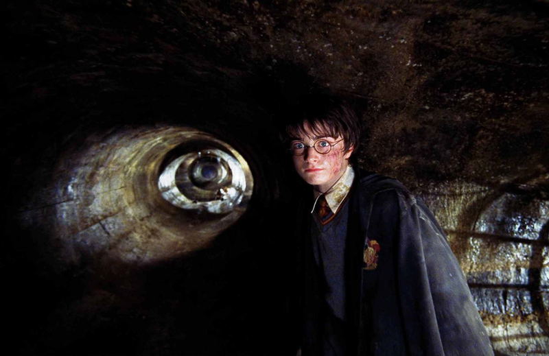 Harry Potter and the Chamber of Secrets (Special Edition) image 4