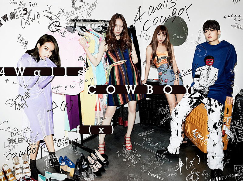 4 Walls / Cowboy [CD+DVD] image 1