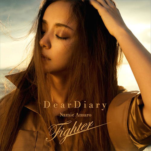 Dear Diary / Fighter image 1