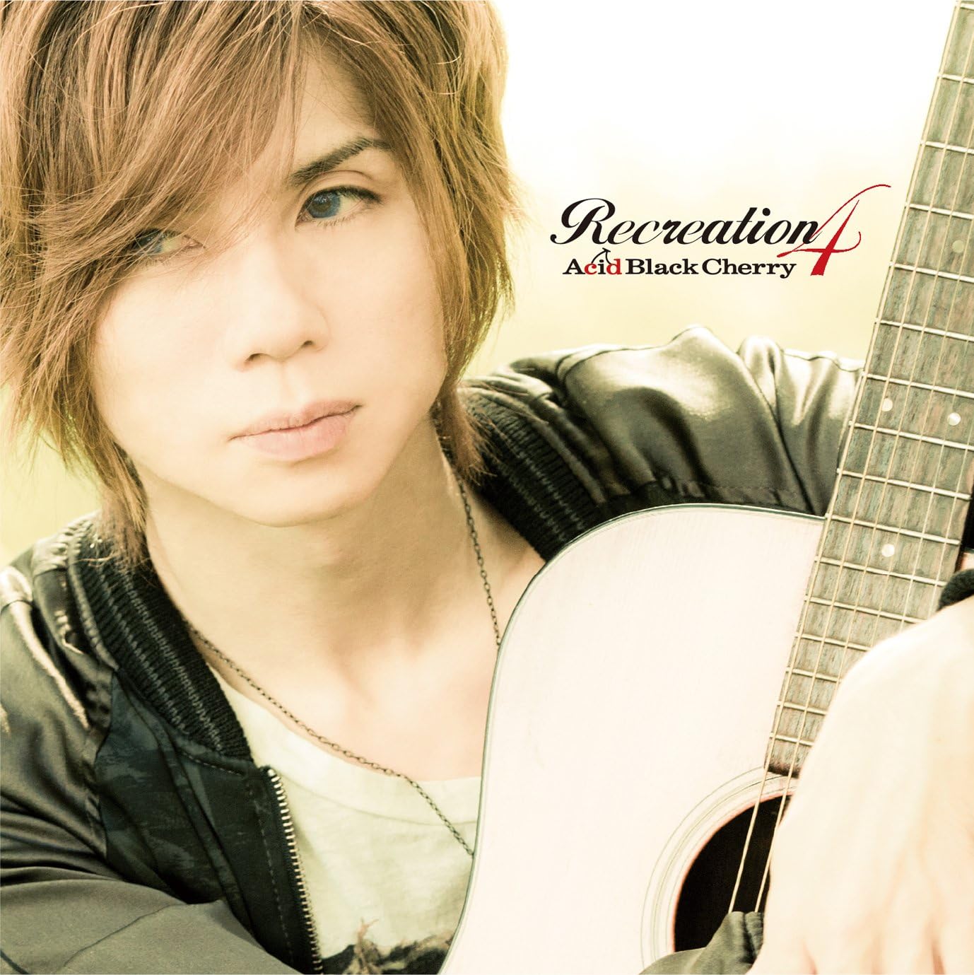 Acid Black Cherry 10th Anniversary Live… Acid Black Cherry｜10th Anniversary Special web site