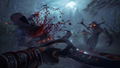 Shadow Warrior 2 <span class="ext" style="background-color: #2a475e; color: #FFFFFF;">STEAM</span> <span class="ext ext_digital">digital</span> thumbnail 5