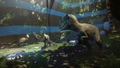 Robinson: The Journey thumbnail 6