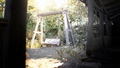 Resident Evil 7: Biohazard <span class="ext" style="background-color: #2a475e; color: #FFFFFF;">STEAM</span> <span class="ext ext_digital">digital</span> thumbnail 4