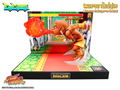 Street Fighter T.N.C. 06: Dhalsim thumbnail 3