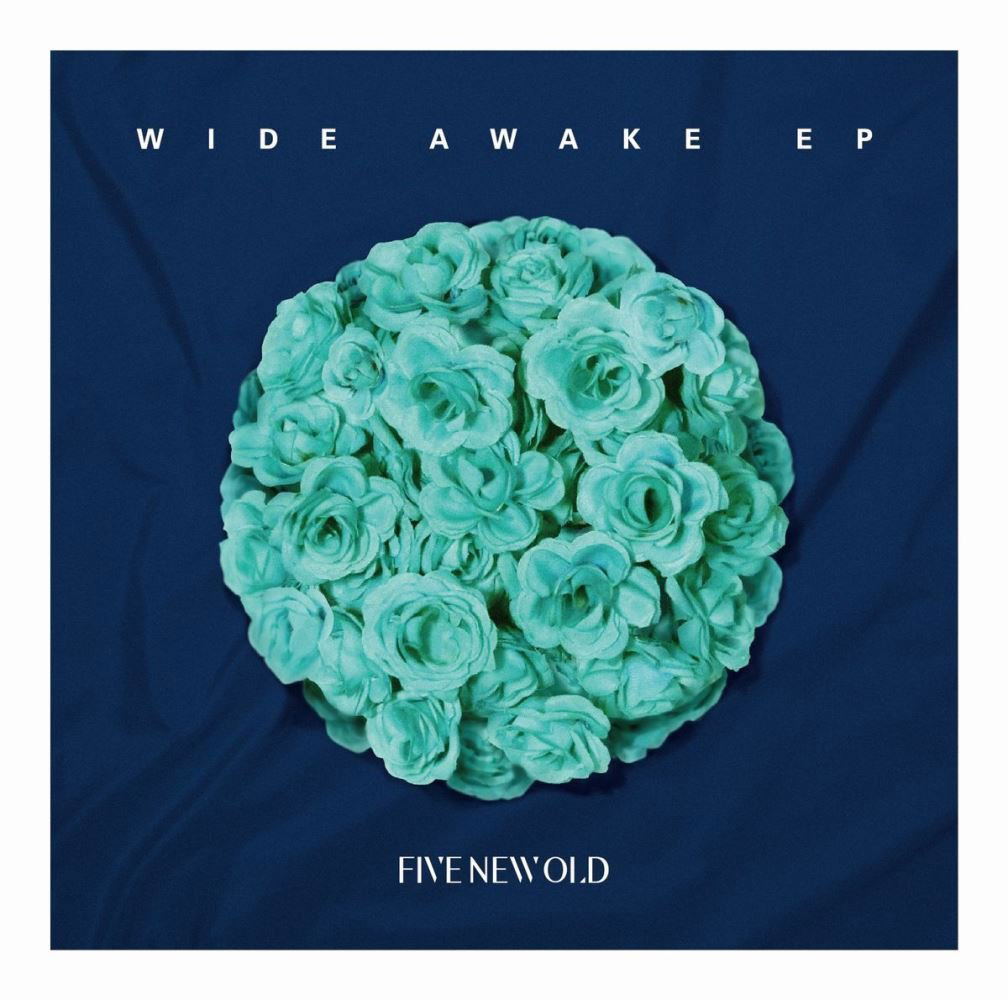 Wide Awake Ep — Import Game Deal