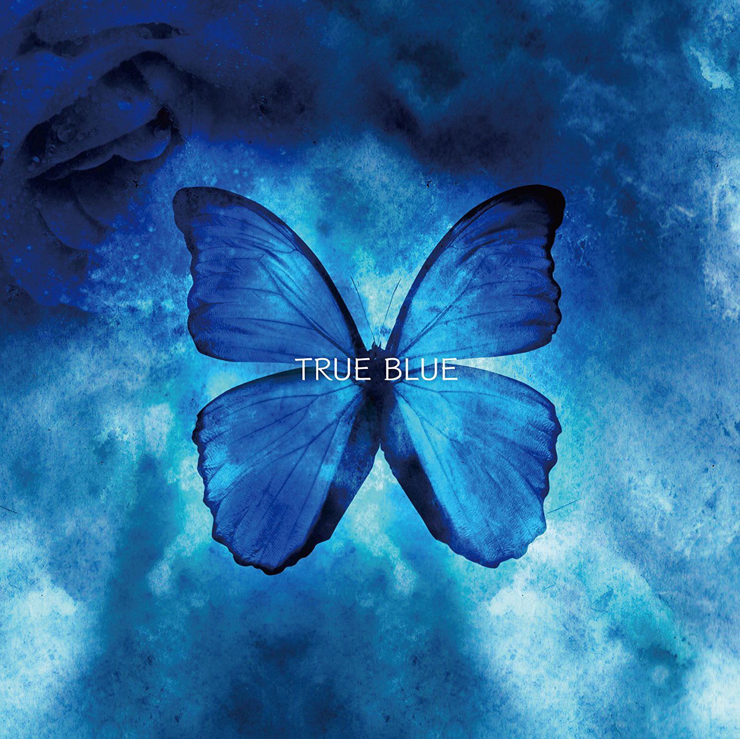 True Blue — Import Game Deal