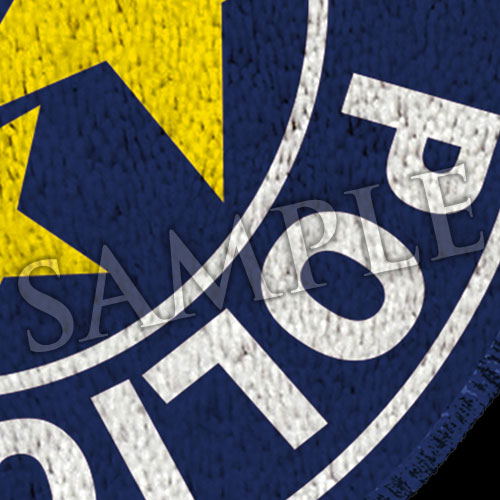 Biohazard Big Size Floor Mat: S.T.A.R.S.