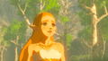 The Legend of Zelda: Breath of the Wild thumbnail 2