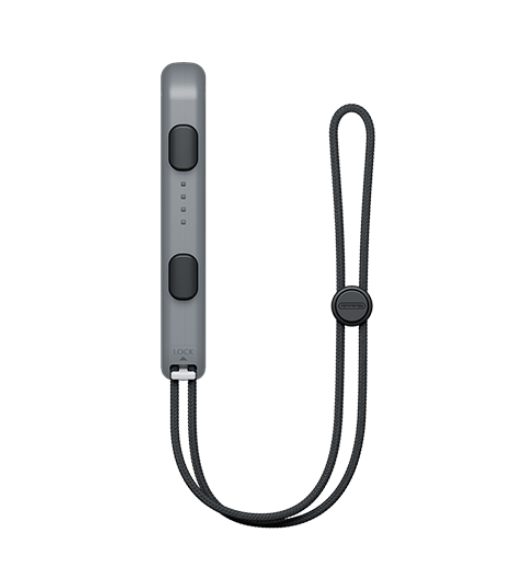 Joy-Con Strap (Gray) image 2