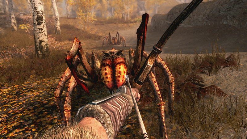 The Elder Scrolls V Skyrim image 5