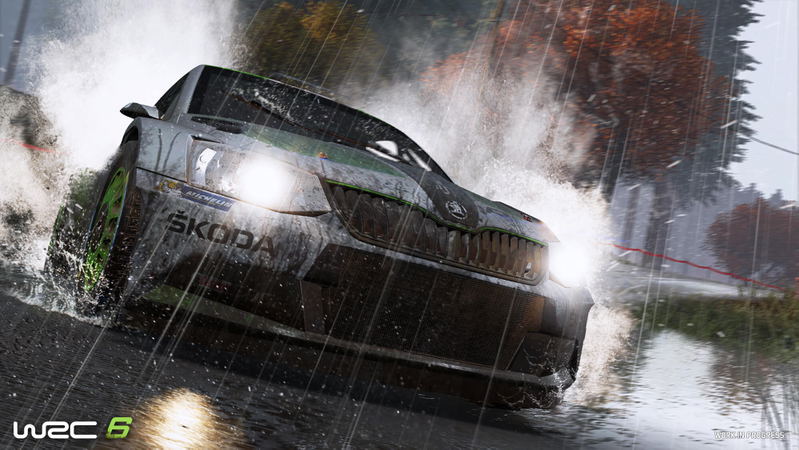 WRC 6: FIA World Rally Championship image 8