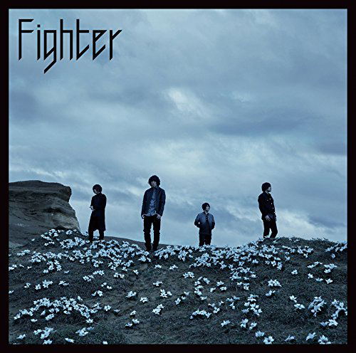 Fighter — Import Game Deal