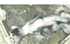 The Last Guardian Strategy Guidebook
