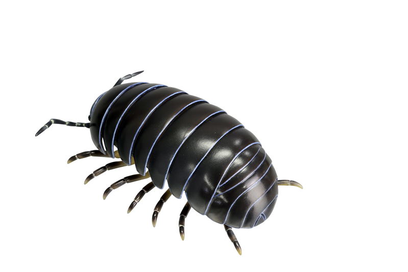 Soft Vinyl Toy Box 012A Armadillidium Vulgare image 1