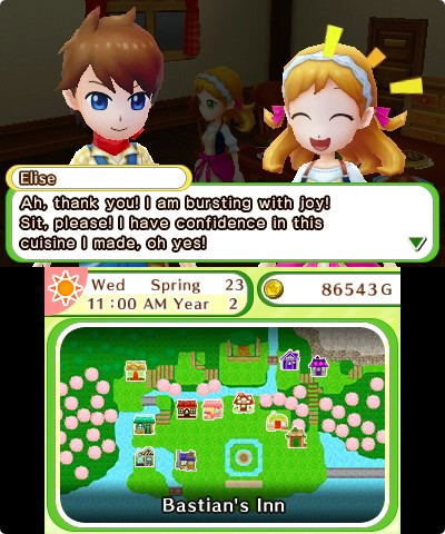 Harvest Moon: Skytree Village image 7