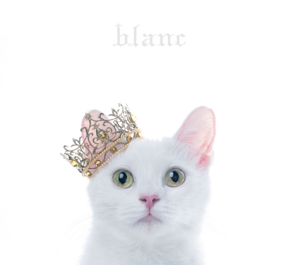 BEST SELECTION Blanc [CD+DVD Limited Edition Type B] — Import Game Deal