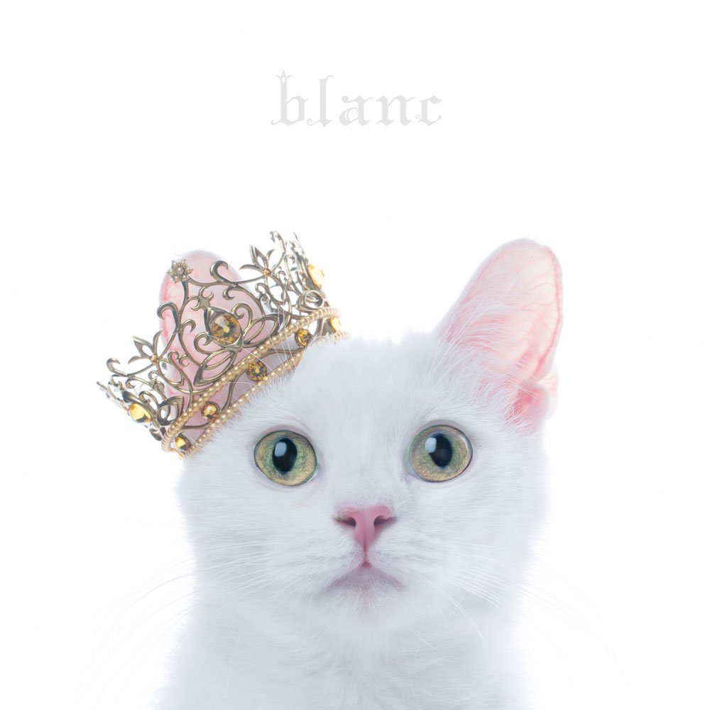 Best Selection Blanc Aimer — Import Game Deal