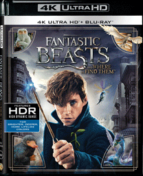 Fantastic Beasts and Where to Find Them (4K UHD+BD) (2-Disc)_